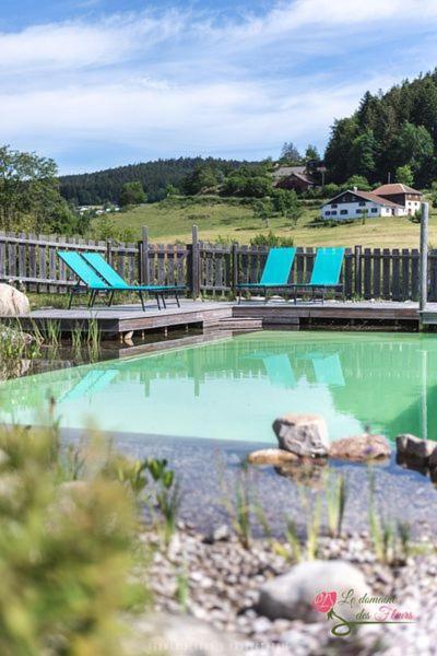 Le Domaine Des Fleurs - Appartement La Gentiane Gérardmer Eksteriør billede